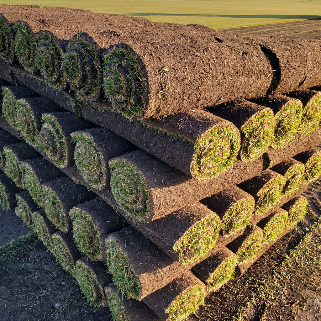 Stack of sod rolls in a field