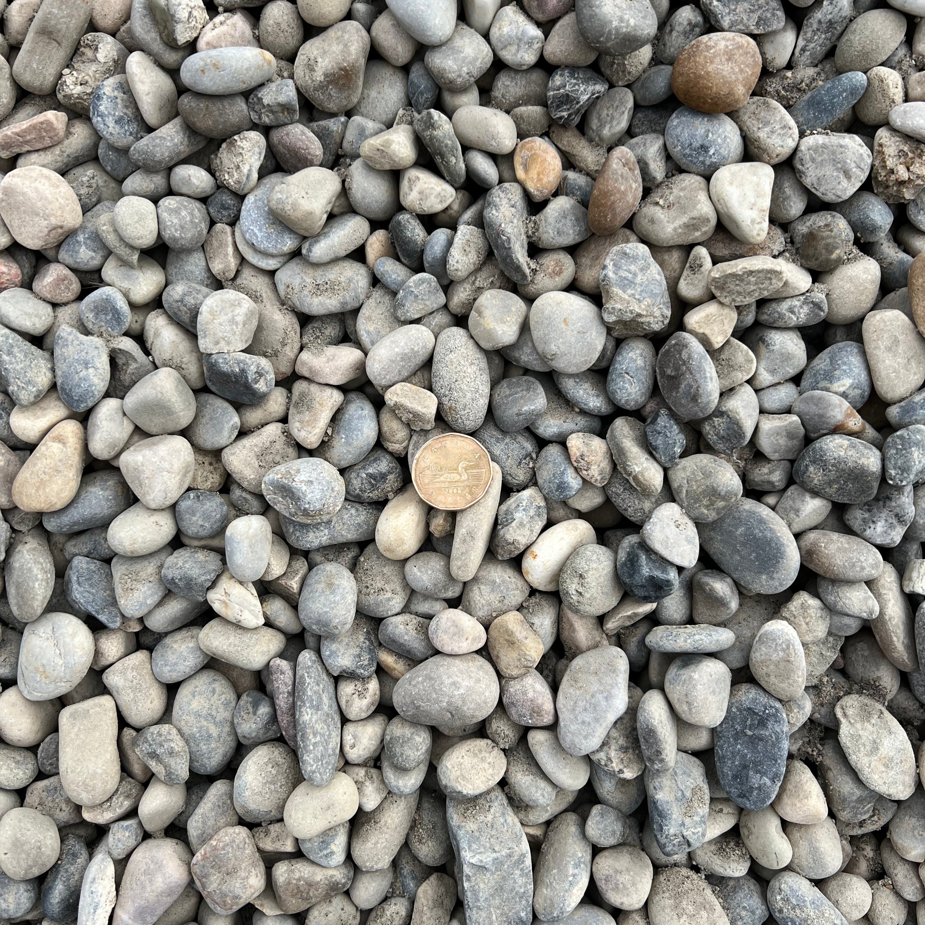 20mm Washed Round Rock Calgary – Smooth 20mm washed round rock for decorative landscaping, garden beds, tree rings, pathways, water features, drainage applications, and landscape borders. Bulk loose delivery available throughout Calgary and surrounding areas. Order online.
