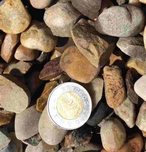 28mm Washed Rock Calgary – Clean 28mm washed rock for drainage systems, weeping tile, foundation backfill, downspout drainage, decorative landscaping, garden beds, and landscape borders. Bulk loose delivery available throughout Calgary and surrounding areas. Order online.