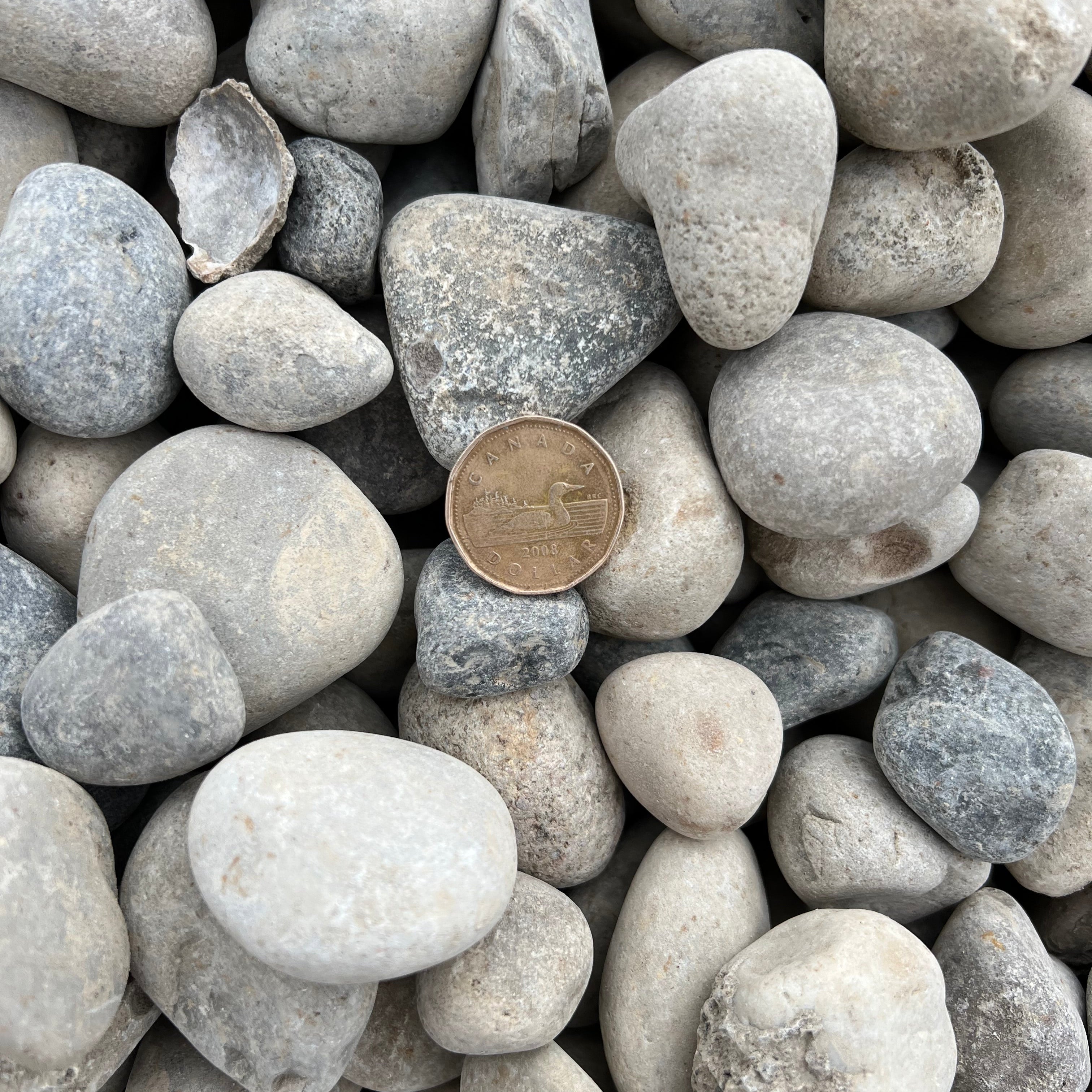 40mm Washed Round Rock Calgary – Large 40mm washed round rock for decorative landscaping, dry creek beds, water features, drainage areas, garden beds, tree rings, and landscape borders. Bulk loose delivery available throughout Calgary and surrounding areas. Order online.