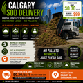Kentucky Bluegrass Sod Delivery – No Pallet Deposit (Orders Up to 1400 sq ft)