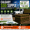 Calgary Sod Supply truck delivering premium Kentucky Bluegrass sod across Calgary with online ordering, fast delivery, and fresh-cut Manderley sod.