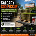 Sod Calgary Pickup | DLS Select Kentucky Bluegrass
